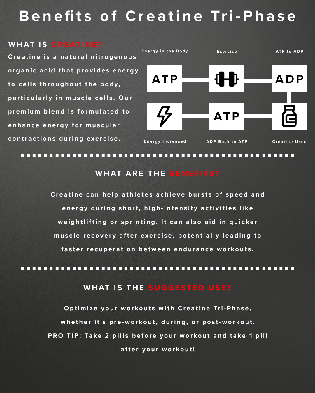 Creatine Protein Supplement